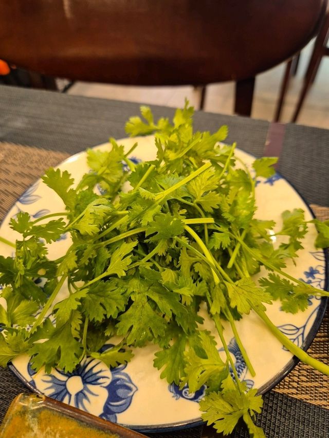 호이안 올드타운 맛집은 여기 QQ레스토랑