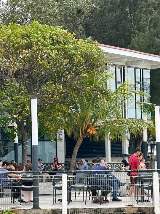 From Beans to Breeze: Chill Out at ZUS Port Dickson