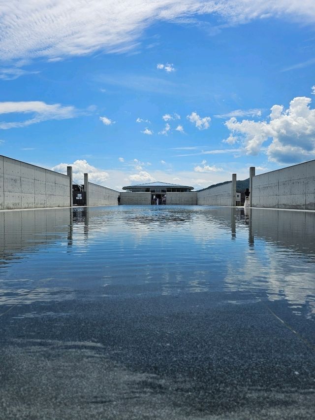 ラベンダーの丘から顔を出す、天空の頭大仏。札幌の新たな瞑想空間🪷💜