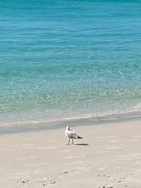 Really a (white) heaven at whitsunday island , Australia 
