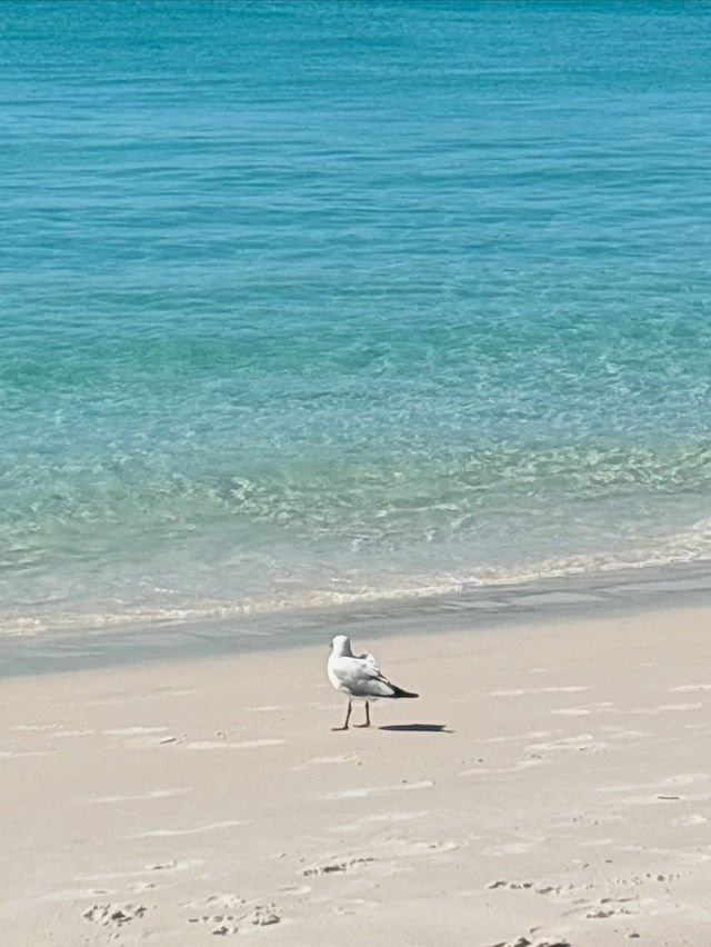 Really a (white) heaven at whitsunday island , Australia 
