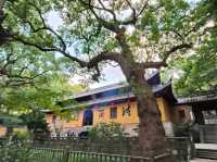 Mount Putuo (Zhejiang)