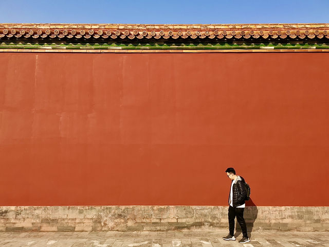 🐉 Nine Dragons in Glazed Glory: A Pause Outside Ning Shou Palace
