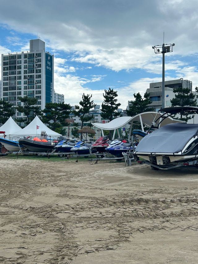 바다와 바람, 그리고 여름의 한 페이지 🌊🌴