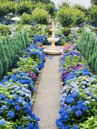 Pet-Friendly Paradise for Flower Lovers
