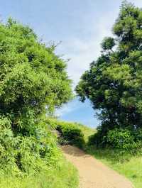 A Peaceful Hike to Panoramic Island Vistas