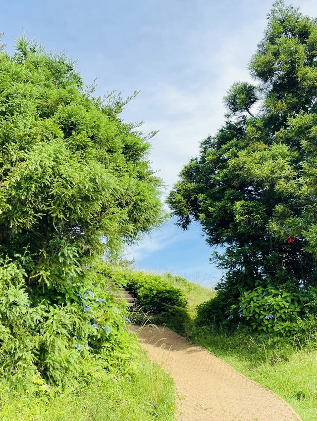 A Peaceful Hike to Panoramic Island Vistas