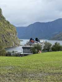 북유럽의 품에 안긴 마을, 플롬