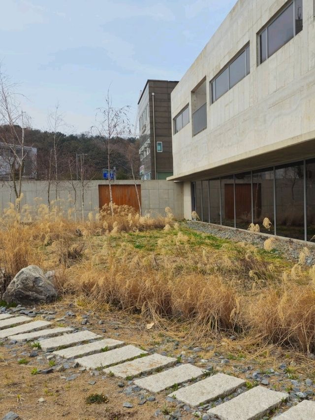 분위기 갑 영종도 스왈로우 
