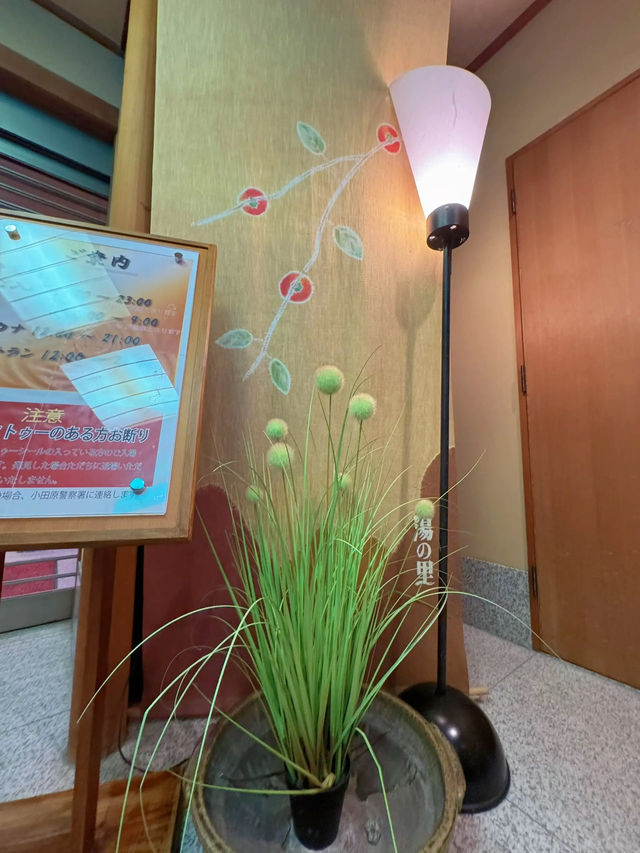 【箱根】夏休みは日帰り温泉で箱根旅
