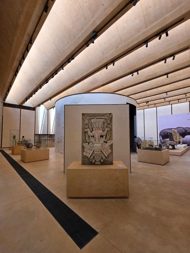 Creative Curiosities and Ocean Vibes at Mureco Museum