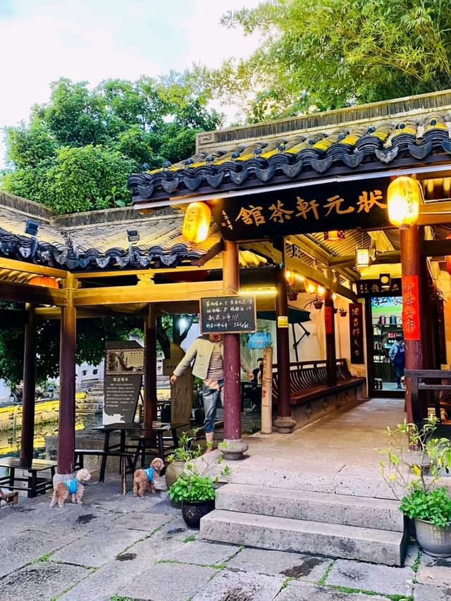 A Living Chronicle of Jiangnan Water Town Charm