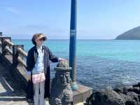 제주도 여행의 즐거움을 함께해요