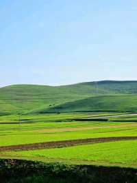 Where the Sky Touches the Steppe: Huitengxile Revealed