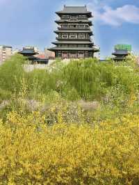 🏯 Qingyun Pavilion – Towering Elegance Beside the Lake