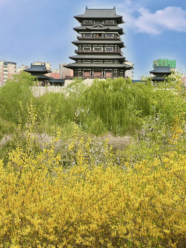 🏯 Qingyun Pavilion – Towering Elegance Beside the Lake 🏯 Qingyun Pavilion – Towering Elegance Beside the Lake
