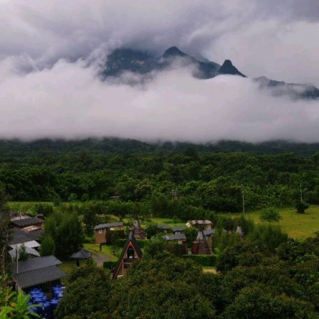 ที่พักที่อยู่ท่ามกลางธรรมชาติ วิวดอยหลวงเชียงดาว