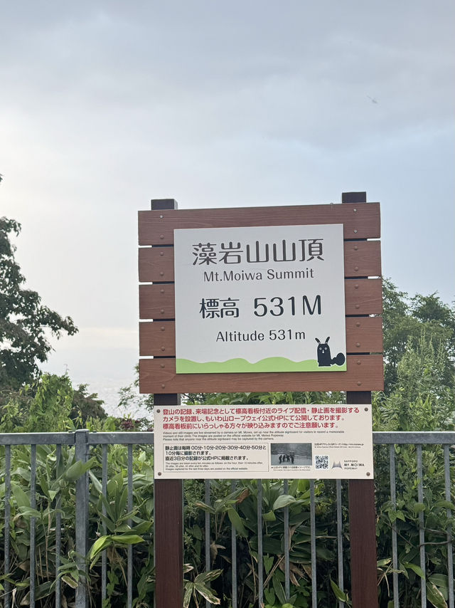 燈火鋪滿城市｜照亮心底最安靜的渴望