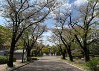 武生中央公園—市區綠肺