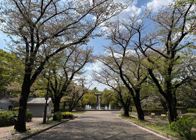 武生中央公園—市區綠肺