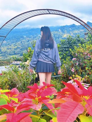 노던 블로섬 플라워 팜 🌸