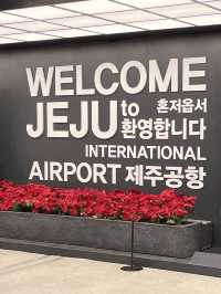 감귤 잔뜩 먹고 온 제주여행 