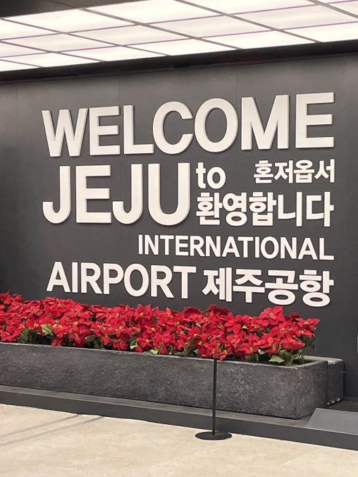 감귤 잔뜩 먹고 온 제주여행 