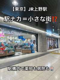 🏙️【上野】駅ナカがまるで小さな街⁉️「エキュート上野」🐼💖 