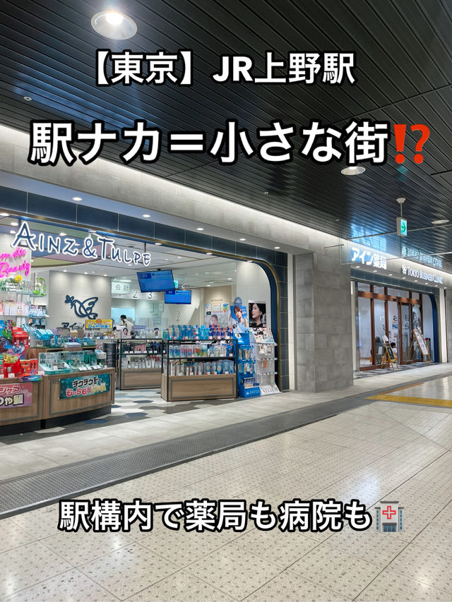 🏙️【上野】駅ナカがまるで小さな街⁉️「エキュート上野」🐼💖 