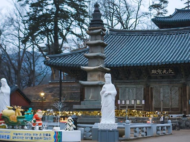[공주] 역사와 고요가 공존하는 공주의 보물, 마곡사