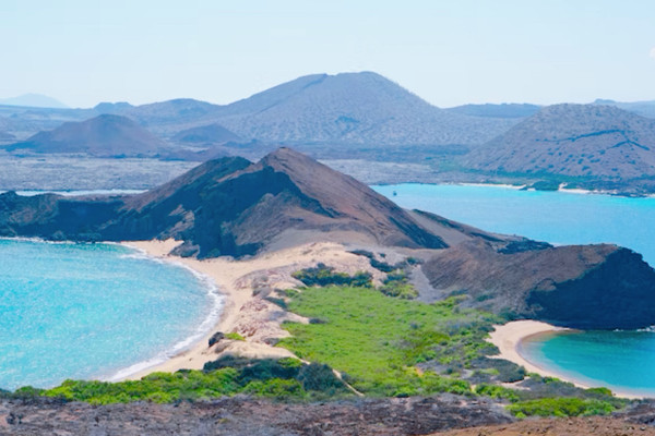 進化論着想の地】ガラパゴス諸島🏝️ | Trip.com ガラパゴス