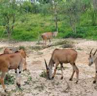 China-Qingyuan 中國-清遠 3 Days 2 Nights (3D2N)