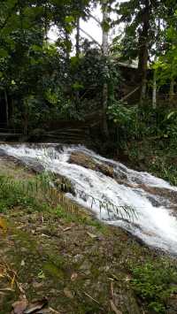 🌿 Mae Kampong: A Hidden Gem in Chiang Mai’s Misty Mountains