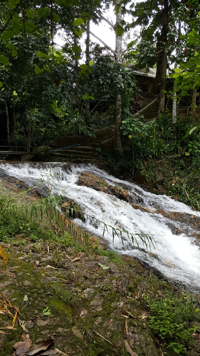 🌿 Mae Kampong: A Hidden Gem in Chiang Mai’s Misty Mountains