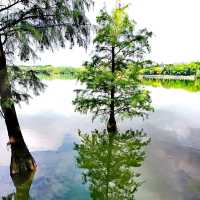 陰雨山水~漫步東灘濕地