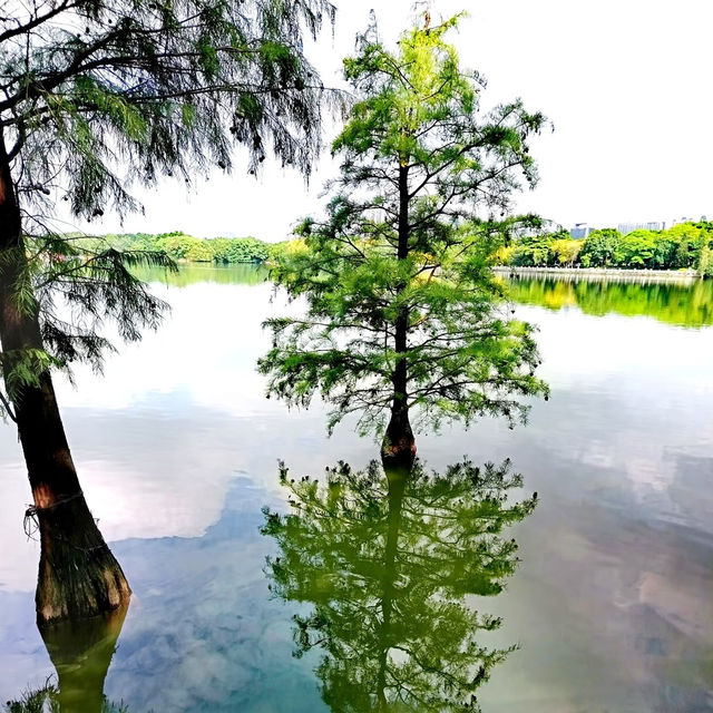 陰雨山水~漫步東灘濕地   陰雨山水~漫步東灘濕地