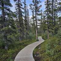 Kluane National Park and Reserve 🏔️❄️