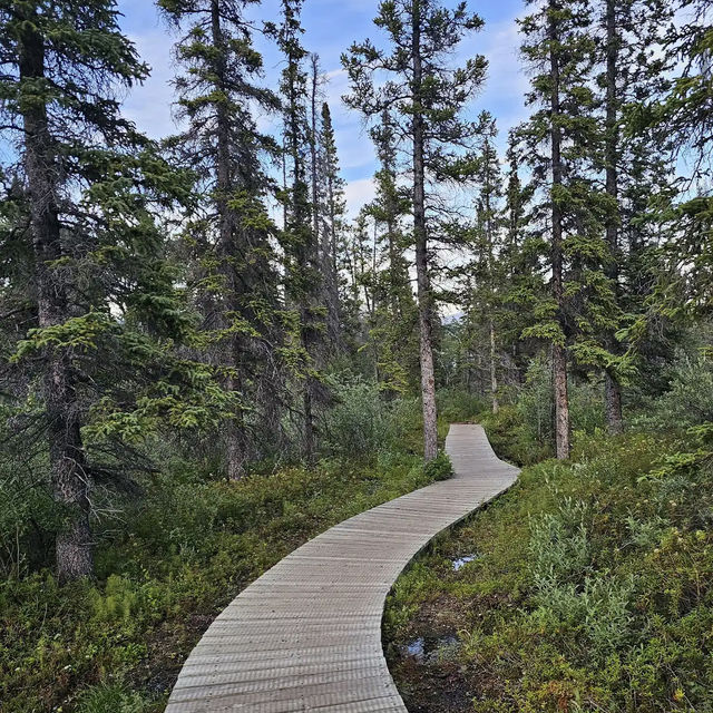 Kluane National Park and Reserve 🏔️❄️ Kluane National Park and Reserve 🏔️❄️