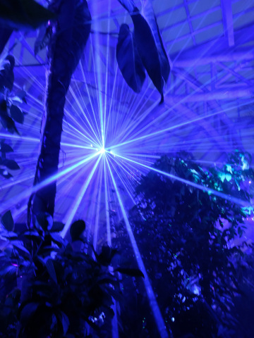 期間限定！】光と音の没入型アートイベントLIGHT CYCLES KYOTO | Trip