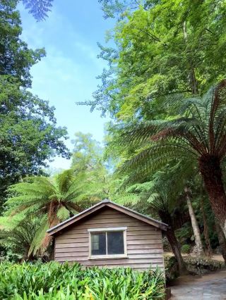 Alfred Nicholas Memorial Garden – Tranquil Botanical Escape in Victoria