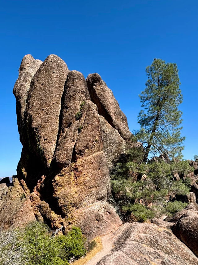 Bear Gulch Cave – California Bear Gulch Cave – California