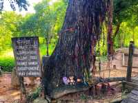 Choeung Ek Memorial Stupa – Remembering Cambodia’s Past 🕊️