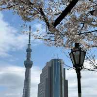 Sumida Park
