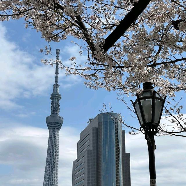 Sumida Park