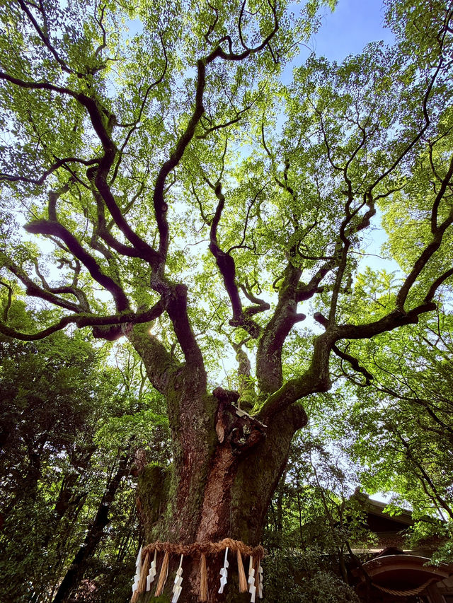 熱田神宮 熱田神宮