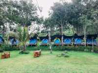 ชวน Camping @สวนเหนือเคียงโขง อ.สังคม จ.หนองคาย