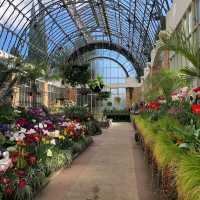 Domain Wintergardens (Auckland) 🌸