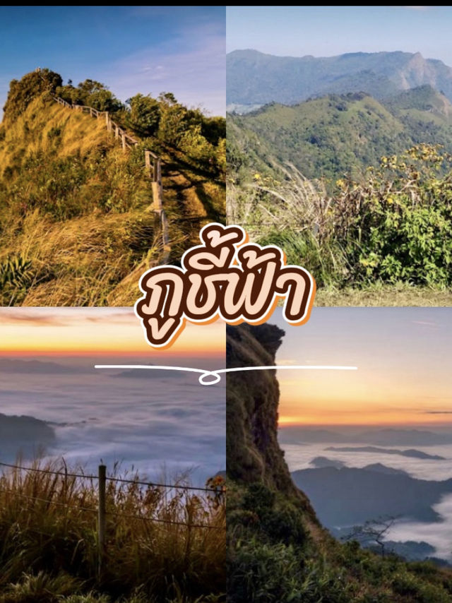 สัมผัสทะเลหมอกและแสงแรกของวัน 🌅✨ ที่ภูชี้ฟ้า