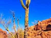 🏞️ Camelback Mountain – Phoenix’s Iconic Summit 🇺🇸