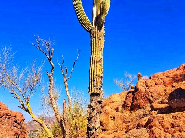 🏞️ Camelback Mountain – Phoenix’s Iconic Summit 🇺🇸